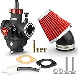 NIBBI PE28 Carburetor with 48mm Air Filters Kit,PE28mm FL Motorcycle Carb Fit for 200cc-250cc Dirt Bike Pit Bike Apollo TaoTao Lifan Kayo Honda SSR Motor