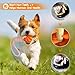 GmwyCzV 3 Stück Hundespielzeug,5cm Hundespielzeug Ball mit Seil Naturkautschuk Ball,Interaktives Hundeball Spielzeug,Kauspielzeug für kleine mittlere große Hunde für Zahnpflege (Blau Orange Grün)