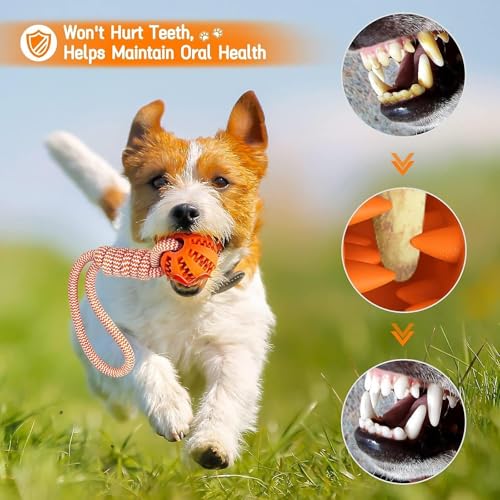 GmwyCzV 3 Stück Hundespielzeug,5cm Hundespielzeug Ball mit Seil Naturkautschuk Ball,Interaktives Hundeball Spielzeug,Kauspielzeug für kleine mittlere große Hunde für Zahnpflege (Blau Orange Grün)