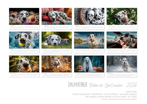 Edition Seidel Premium Kalender Dalmatiner Hundespaß gepunktet 2026 Format DIN A3 Wandkalender Hundekalender Hund Welpe Tierkinder Hunderasse Haustier niedlich