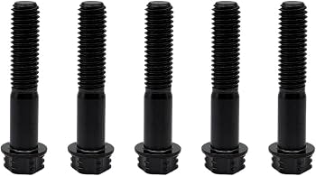 Amazon.com: RISON Titanium Bolts M8*1.25 * 28 Torx Titanium Bolts