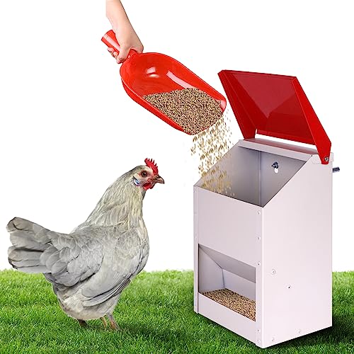 KHEARPSL Galvanized Wall Mount Chicken Feeder No Waste Hanging Chicken Feeder with Lid Weatherproof Metal Automatic Poultry Feeder Trough Food Dispenser for Outside Coop (10 lbs)