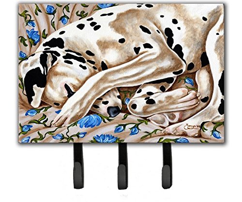 Bed of Roses Dalmatian Leash or Key Holder