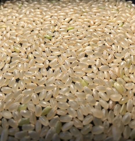 Amazon.co.jp: 山形県産 はえぬき 1等 玄米 30kg【令和7年産