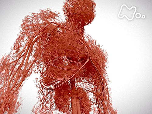 「美肌も代謝も！毛細血管を増やすワザ」のサムネイル