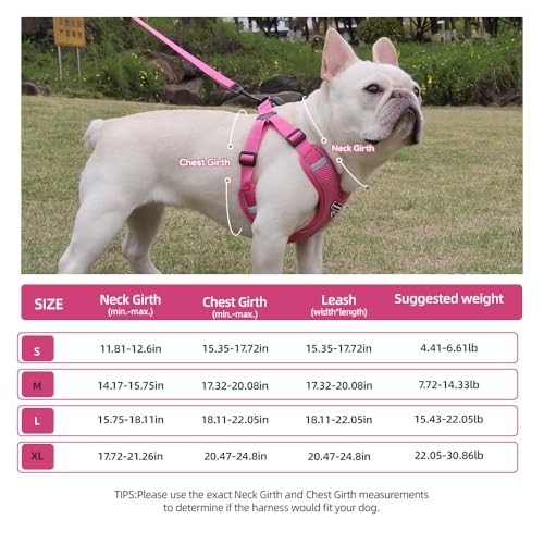 Pecheras para perros 29 Imagen adicional