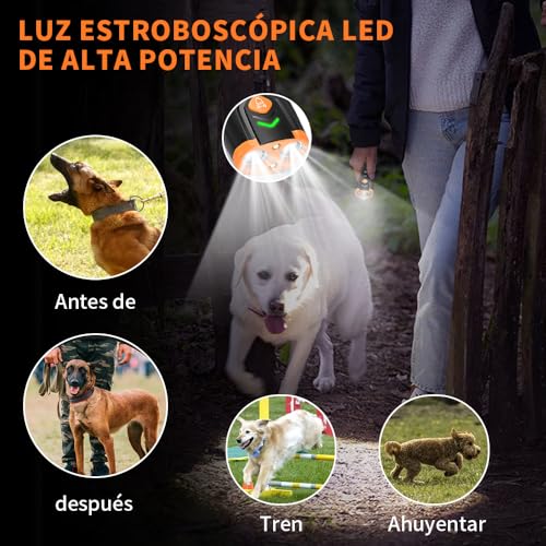 Relojes Despertadores, Home Imagen adicional