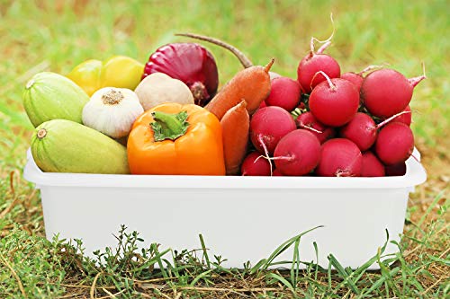 4-Pack Commercial Bus Tubs 8L, White Plastic Bus Box/Tote, Bus Wash Dish Basin Pans #TOP5