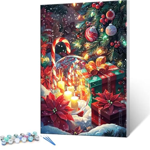 DIY 数字油絵 クリスマス Paint by Numbers 塗り絵 キット 大人 数字ぬりえ 子供の用数字塗り絵キャンバスクラフト数字 キャンバスアート ブラシとアクリル絵の具が入, インテリア リビング装飾, 女性へのギフト 20x30cm (フレー