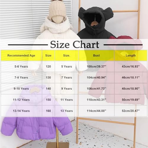 Kids Boy Girls Winter Hooded Coat Cute Bear Ears Zipper Up Down Jackets Warm Cute Hooded Outerwear with Pockets2