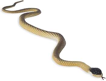 白い象と黒い蛇 白い象と黒い蛇 The mutated black snake turned into a normal