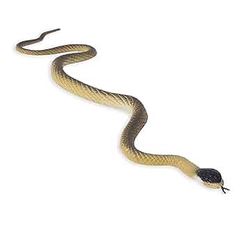 ３匹の蛇 51ikHNOZ8-L._UF350,350_QL50_.jpg