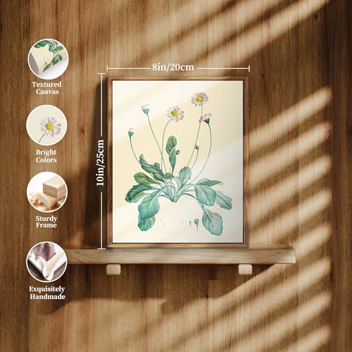 crmotu Botanical Framed Wall Art, Daisy Vintage Decor Pictures, Minimalist Floral Canvas Prints, Still Life Flower Nature Wall Decor, Bathroom Bedroom Above Bed Kitchen Rustic Home Decor, 8x10 inch