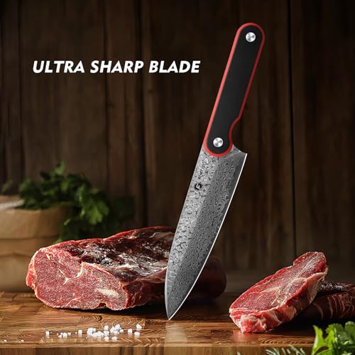 Image of FINTISO Chef Knife 8 Inch, Professional 67-Layer Damascus Stainless Steel Kitchen Knife with 10Cr15CoMoV Steel Core, Ultra Sharp Cooking Knife with Ergonomic Full Tang G10 Handle