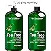 New-York-Biology-Tea-Tree-Shampoo-and-Conditioner-Set--Deep-Cleanser--Relief-for-Dandruff-and-Dry-Itchy-Scalp--Therapeutic-Grade-Helps-Promote-Hair-Growth--169-fl-Oz New York Biology Tea Tree Shampoo and Conditioner Set – Deep Cleanser – Relief for Dandruff and Dry Itchy Scalp – Therapeutic Grade - Helps Promote Hair Growth – 16.9 fl Oz