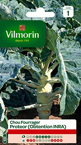 Vilmorin 3378541 Chou fourrager, Vert, 90 x 2 x 140 cm