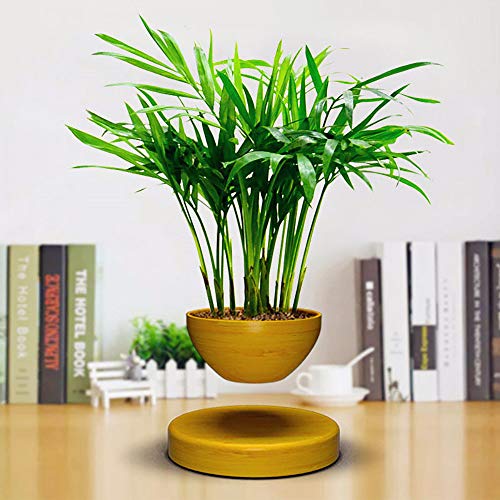 Maceta De Bonsai De Aire De LevitacióN MagnéTica, DecoracióN De Esc