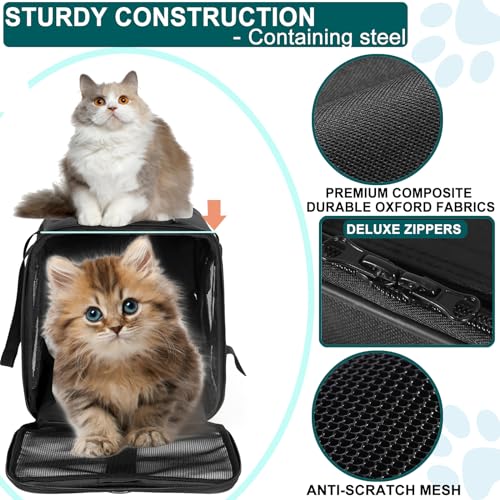 Cat-Dog-Pet-Carrier-for-Small-Medium-Cats-Puppies-up-to-15-LbsTSA-Airline-Approved-Carrier-Soft-SidedComfortableConvenientProtable-and-Breathable-Pet-Travel-Carrier-Removable-Fleece-Pad