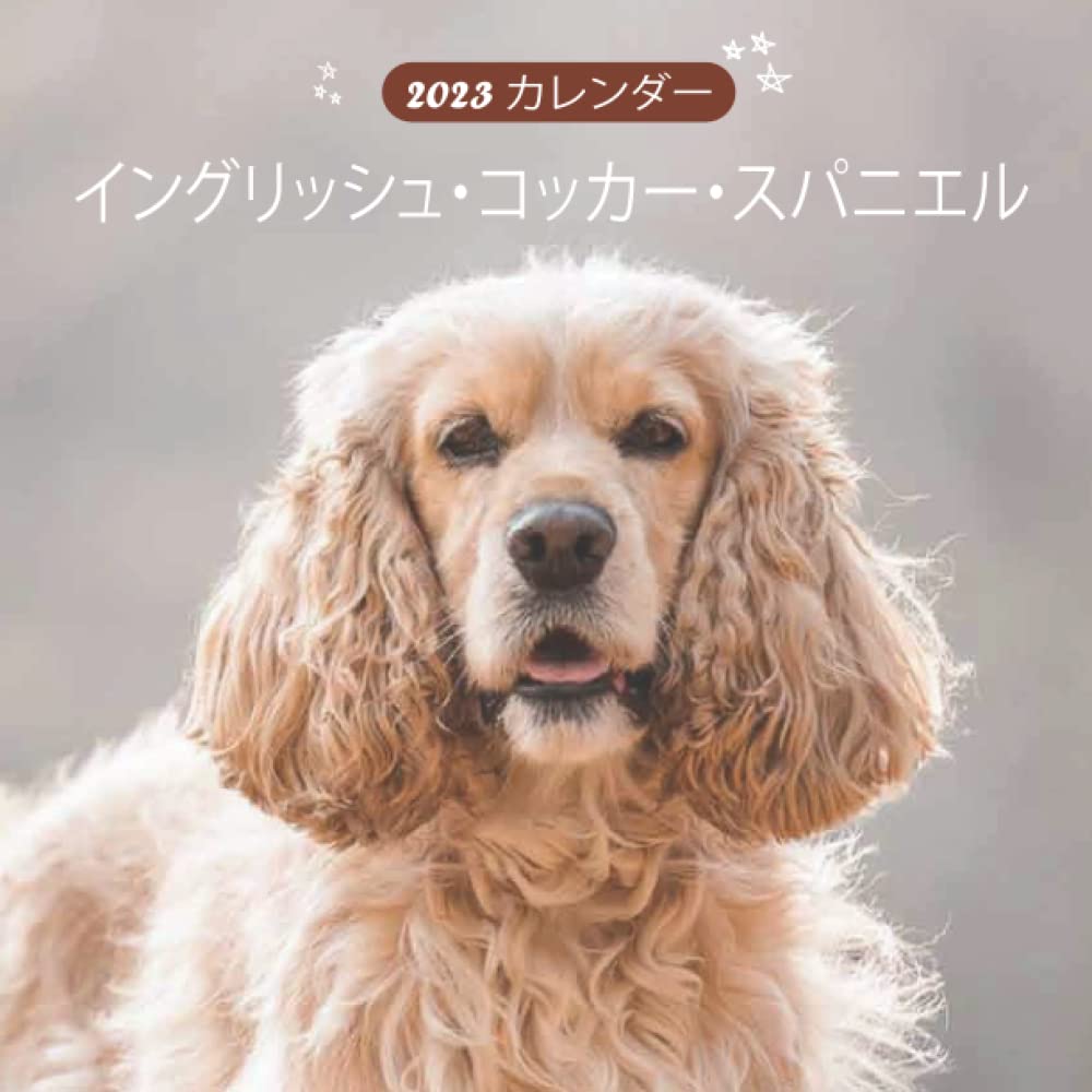 Amazon Co Jp イングリッシュ コッカー スパニエル カレンダー 23 素晴らしいギフト18か月のカレンダー23年の美しい写真 Akira Otsuka 文房具 オフィス用品