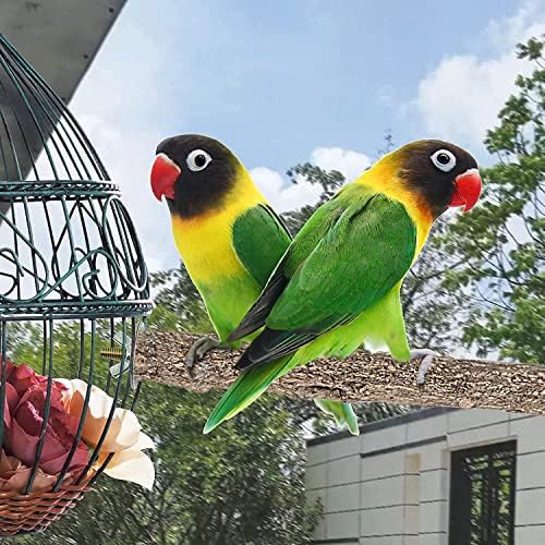 Geboor 5Pcs Wood Bird Perch Parrot Perches for Cage Stand Set Parrot Stand Branches Fork Perch Rod Stand for Small Parakeets Budgies Cockatiels Conure Lovebirds