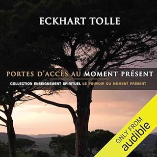 Page de couverture de Portes d'accès au moment présent