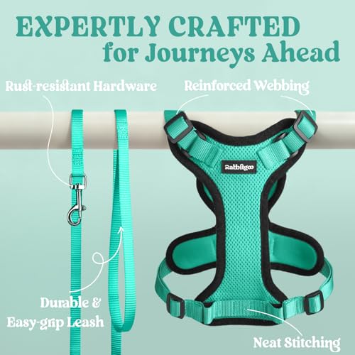 Image of rabbitgoo Cat Harness and Leash Set, Escape Proof Vest, Emerald | Soft Breathable Mesh, Easy Adjustable Fit, Snap Buckles, Sturdy Clip, Reflective Strips, for Medium to Large Cats Walks, M