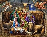 In the Manger Advent Calendar (Countdown to Christmas) with Nativity Story by Vermont Christmas Company