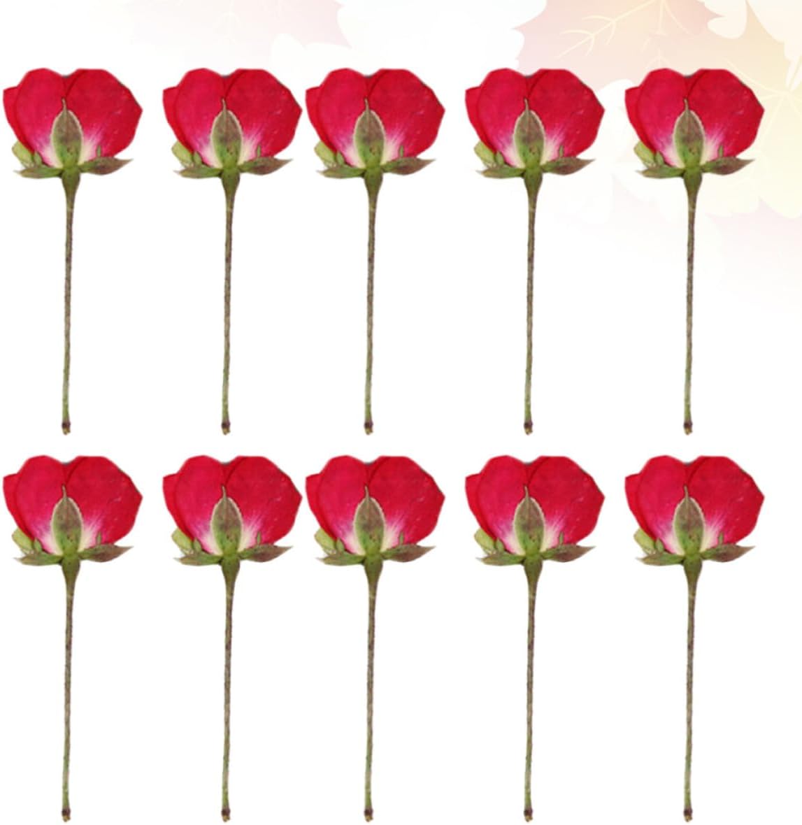 Artibetter 12pcs DIY Dried Pressed Rose Buds for Scrapbooking and Packaging Materials, Beautiful and Lifelike Flower Specimens for Holiday Functions and Parties