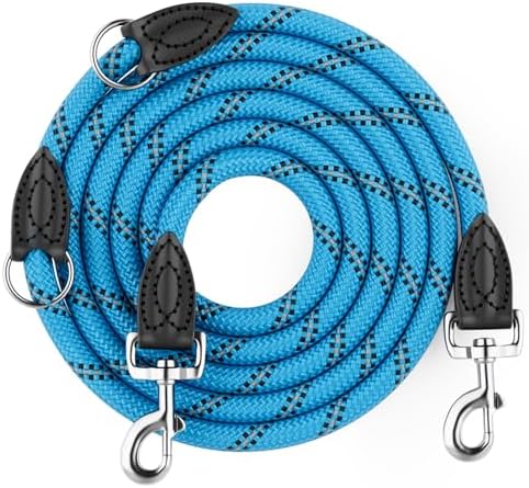 Aystkniet Hundeleine 2m, Verstellbar Leine Hund für Mittlere & Große Hunde | 2-fach Verstellbar; 12MM Robuste Freihandleine & Umhängeleine; 250KG Zugkraft Reflektierend Nylon Doppe