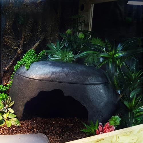 Lagartixa coucada, lagartana esconde | Abrigo de sapos - Pequeno lagarto Hideaway Humidify Habitat D