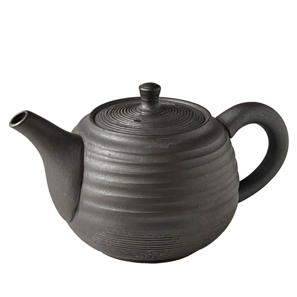 Tokoname Ware Black Kyusu Teapot Ceramic Tea Strainer 10.1oz Japan
