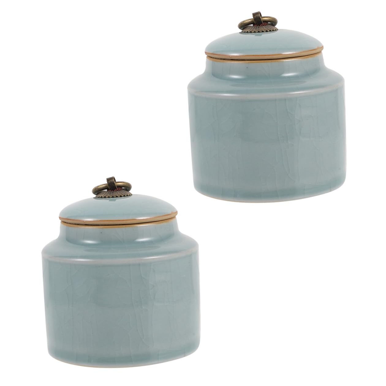 Gadpiparty Set 2 Barattoli per la Conservazione in Ceramica Coperchio Sigillato Barattoli per Tè e Alimenti Secchi Contenitori Eleganti per Cucina Adatti per Famiglia Bar e Ristoranti