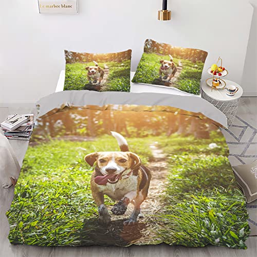 Parure de lit confortable en fibre superfine douce blanche avec 2 taies