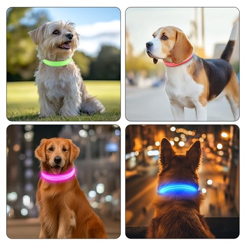 PcEoTllar Leuchthalsband Hund USB Aufladbar - LED Halsband für Hunde Hundehalsband Wasserdicht Leuchtend Einstellbare Größe, 3 Modi, Leuchthalsband für Nachtsicherheit Kleine und mittlere Große Hunde