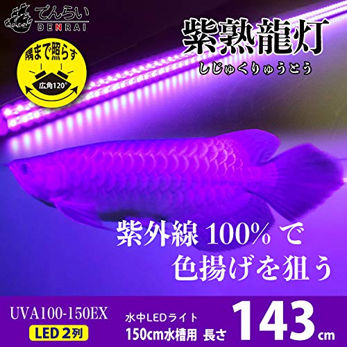 Amazon.co.jp: でんらい LED アロワナライト 水中照明 紅龍 水中