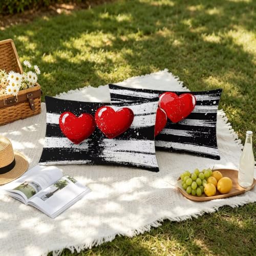 Housse coussin extérieur imperméable 40x80 noir et blanc
