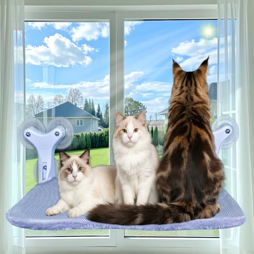 DSCANDYMQ Cat Window Perch Hammock, 6 Suction Cups, 55 Lbs for Large...