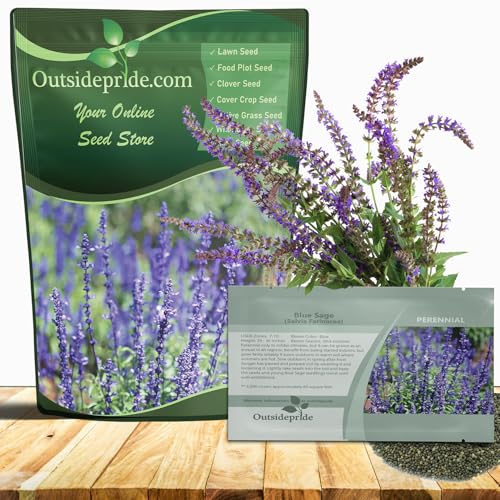 Outsidepride Blue Sage Seeds - 5000 Pcs Perennial, Drought-Tolerant & Deer-Resistant Wildflower...
