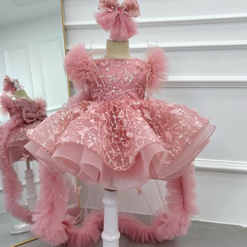 KLFFLGID Baby Flower Girl Pageant Dress Butterfly Embroidered Sequin lace Toddler Formal Wedding Party Dress 6M-6T2
