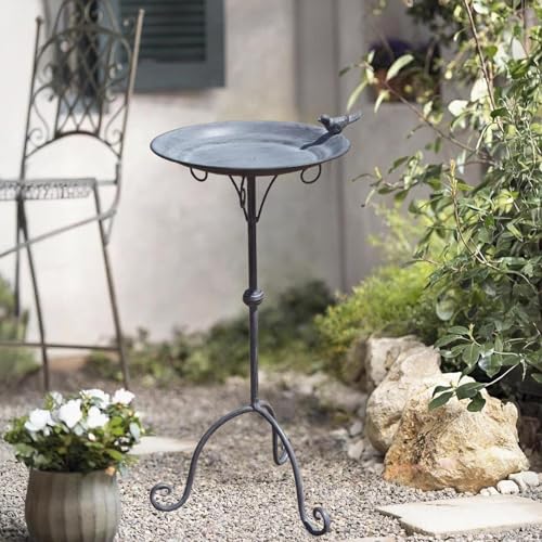 Bain d'oiseaux extérieur pour décorer un grand parc arboré - 5