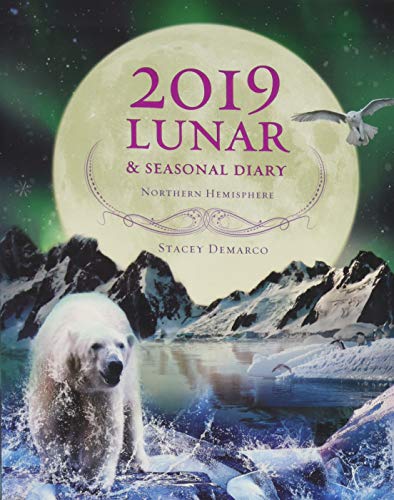 Télécharger Lunar & Seasonal 2019 Diary: Northern Hemisphere Livre eBook France