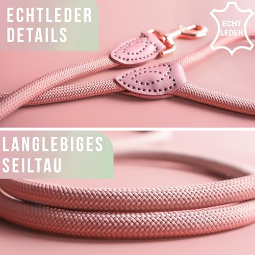 Personalisierte Hundeleine 1,2 m oder 1,7 m Länge (leicht dehnbar) extrem hochwertig verarbeitet | Tauleine für Hunde | Führleine mit Namen (Mauve, 120 cm)