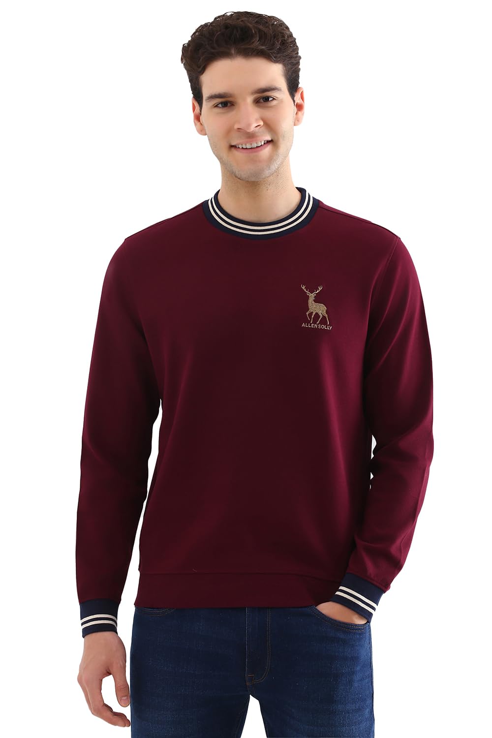 allen solly Men Maroon Crew Neck Full Sleeves Casual Sweatshirt-picture-36