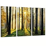 sechars - Forest Canvas Wall Art,Morning Scene with Sun Rays Picture Canvas Prints Forest Landscape Painting Giclee Artwork Printed Framed,Modern Office Home Living Room Decoration Ready to Hang
