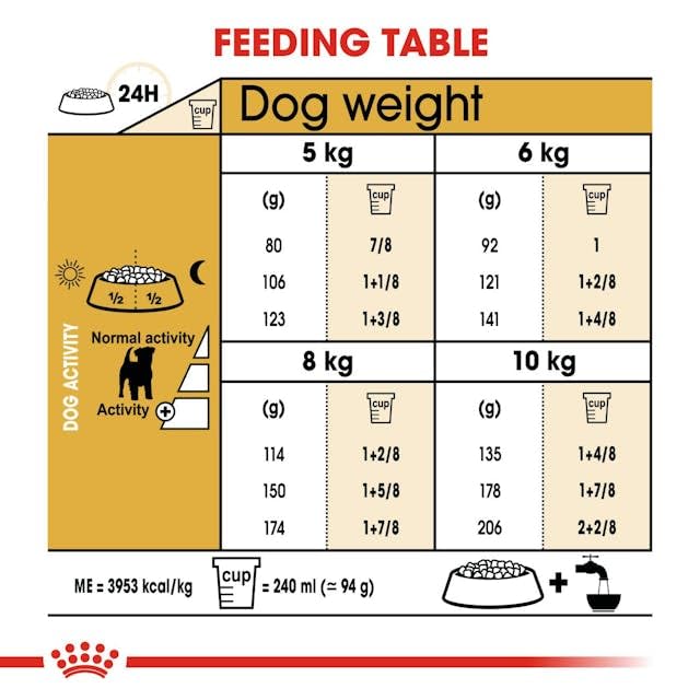 ROYAL CANIN Jack Russell Terrier Adult | 3 kg | Trockenfutter speziell für ausgewachsene und ältere Jack Russell Terrier - ab dem 10. Monat | Zur Erhaltung der Muskelmasse