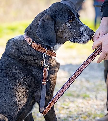 Unikat Hundeleine aus Leder mit Hand-geschnitzten Stanzmustern/Ornamenten - mehrfach verstellbare Führleine 2,00m - doppellagige Echt-Leder-Hunde-Leine aus Büffelleder – Sienna (Braun)