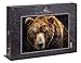 Ulmer Puzzleschmiede - Tierportrait-Puzzle „Grizzly“ - Klassisches 1000 Teile Bären-Puzzle – Puzzlemotiv mit Bär in Nahaufnahme, EIN modern fotografiertes Tierportrait des mächtigen Braunbären