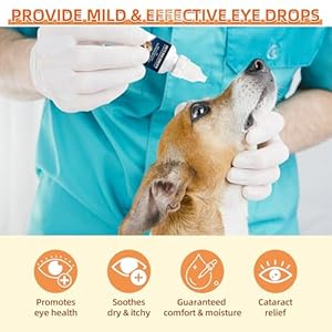 Cataract Drops for Dogs, Dog Eye Drops, Improve Vision Clarity, Improve Eye Vision and Cataracts (2 x 10 mL) Cataract Drops for Dogs Dog Eye Drops Improve Vision Clarity Improve Eye Vision and Cataracts 2 x 10 mL