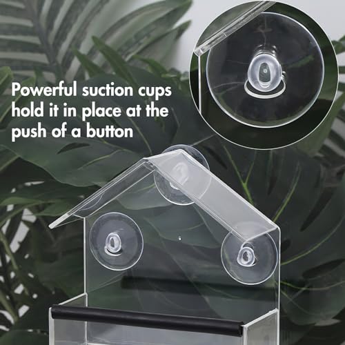 Miawtro 2 Pcs Window Bird Feeder - Image 3