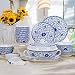 DFJU Juego de vajilla de Porcelana de Hueso de 56 Piezas, Juego de vajilla, Platos de Cocina y Comedor para el hogar, tazones de Sopa